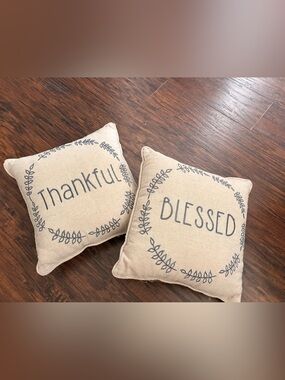 Thankful & Blessed Decorative Throw Pillows - Neutral Beige